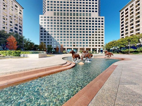 330  Las Colinas Boulevard E 602, Irving Texas 75039