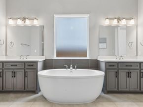 417  Carlsbad Drive , Frisco Texas 75036