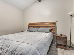 2110  Randy Snow Road  313, Arlington Texas 76011