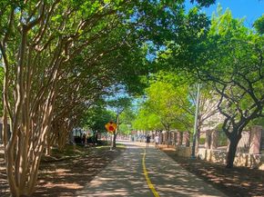 4611  Travis Street  809B, Dallas Texas 75205