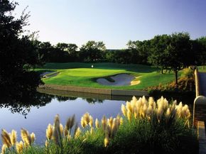 1352  Cherry Hills Lane , Irving Texas 75038