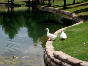 813  Via Balboa  , Mesquite Texas 75150