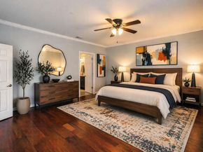 7253  Bianca Lane , Plano Texas 75093