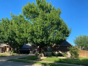 8101  Summerleaf Drive , Arlington Texas 76001