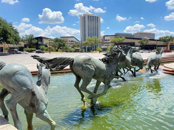 330  Las Colinas Boulevard E 342, Irving Texas 75039