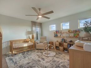 321  Fulton Street , Oak Point Texas 75068