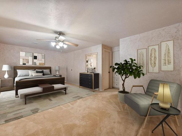 905  Live Oak Lane , Arlington Texas 76012