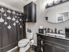 218  Streamside Drive , DeSoto Texas 75115