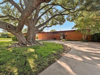2942  Randy Lane 