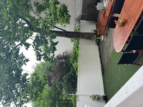 135 Saint Marks Avenue, Brooklyn NY 11217