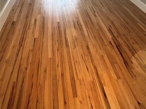 4200 Herkimer Place 7E, Bronx NY 10470