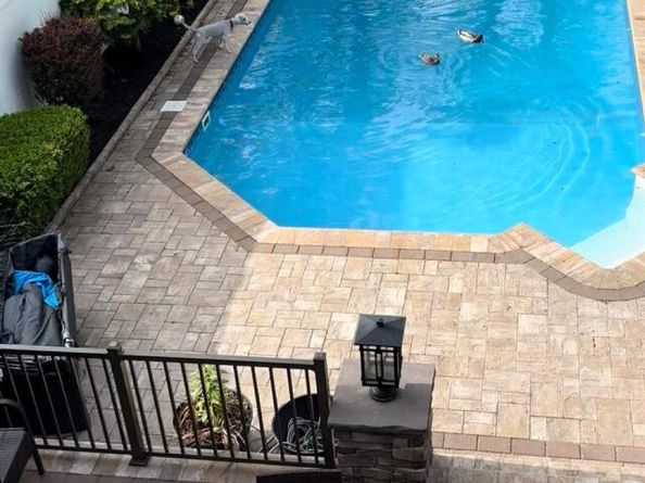 1650 Bridge Street, Merrick NY 11566