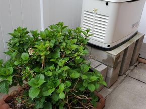 95-11 164th Avenue, Howard Beach NY 11414