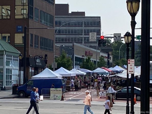 55 N Broadway 31, White Plains NY 10601