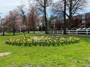 55 N Broadway 31, White Plains NY 10601