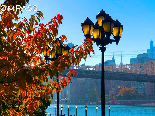 555 Main Street 1315, New York NY 10044