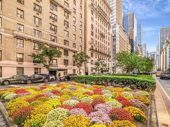 525 Park Avenue