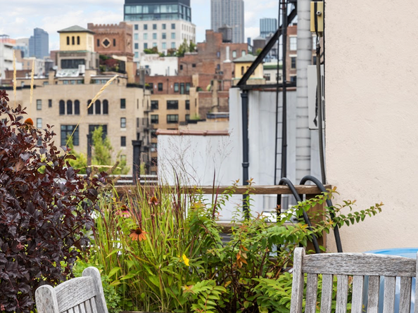 23 Waverly Place 5DE, New York NY 10003