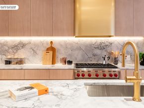 313 East 6th Street PENTHOUSE, New York NY 10003