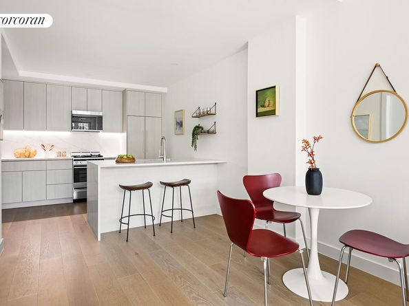 379 Ocean Parkway 5C, Brooklyn NY 11218
