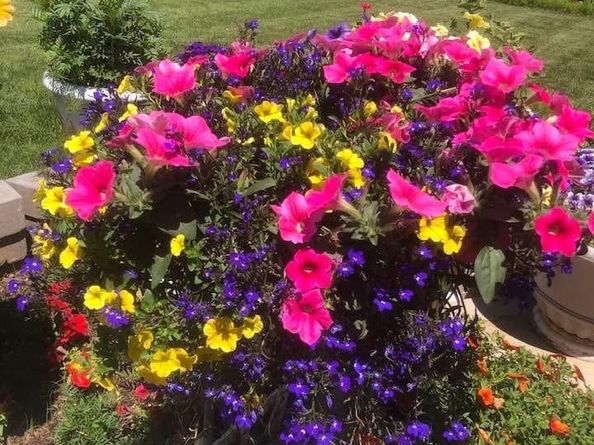 3191 S Holly Place, Denver CO 80222