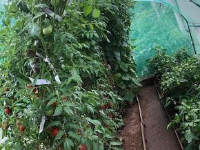 3191 S Holly Place, Denver CO 80222