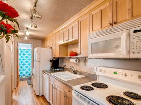 148 S Emerson Street 203, Denver CO 80209