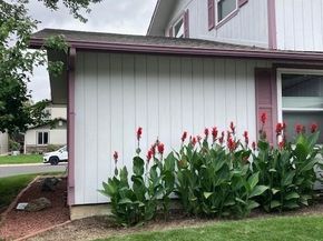 6620 W 95th Place, Westminster CO 80031