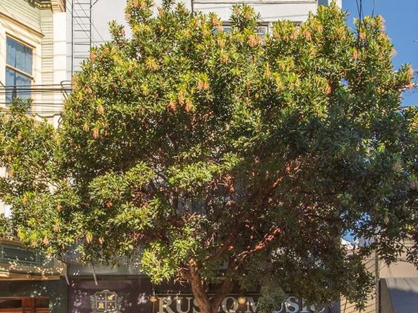 4074 24th Street, San Francisco CA 94114