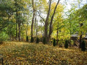 155 Moody Avenue, Fairfield CT 06825