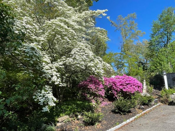 401 Wildwood Road, Stamford CT 06903