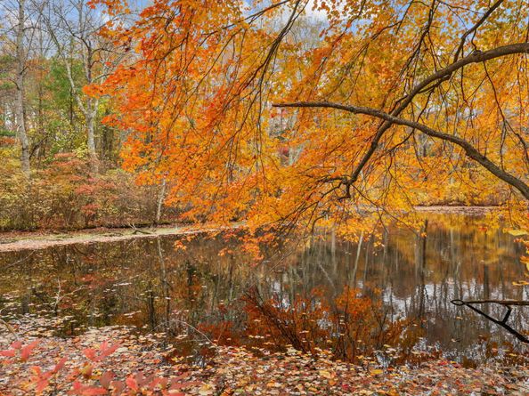 226 Ingleside Drive, Stamford CT 06903