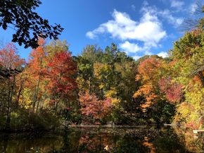 226 Ingleside Drive, Stamford CT 06903