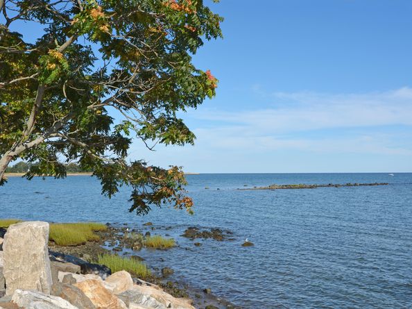 86 Maple Avenue S, Westport CT 06880
