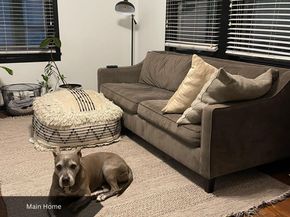 4425 Diane DR, Austin TX 78745