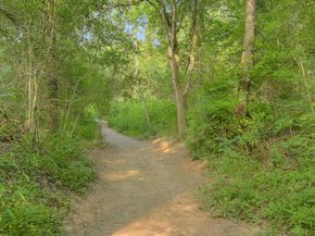 1707 Spyglass DR 41, Austin TX 78746