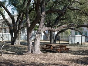 225 Diamondback DR, Georgetown TX 78628