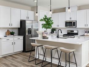 17101 Astral LN, Manor TX 78653
