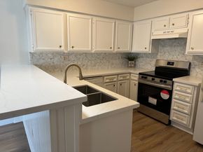 12235 Lemon Ridge Lane, Houston TX 77035
