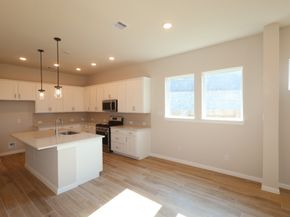 27230 Butterfly Mint Lane, Hockley TX 77447