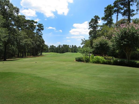 31 Teakwood Place, The Woodlands TX 77384