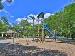 31 Teakwood Place, The Woodlands TX 77384