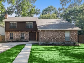 11 Fiddleleaf Court, The Woodlands TX 77381
