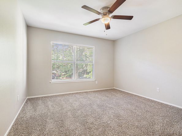 11 Fiddleleaf Court, The Woodlands TX 77381