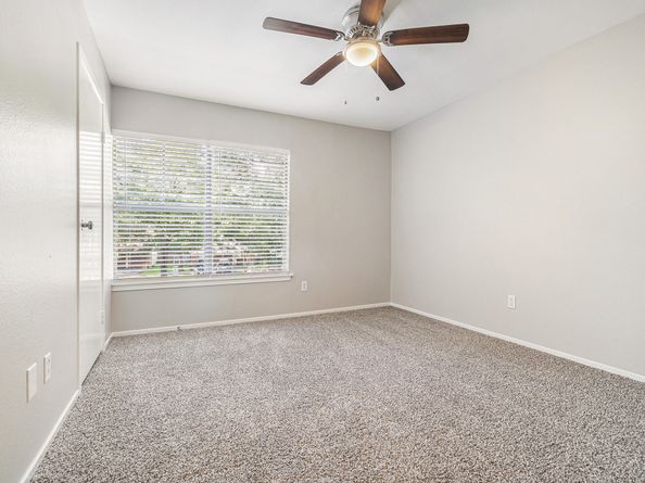 11 Fiddleleaf Court, The Woodlands TX 77381