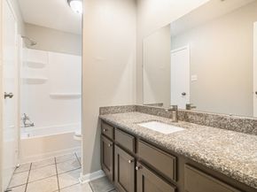 11 Fiddleleaf Court, The Woodlands TX 77381
