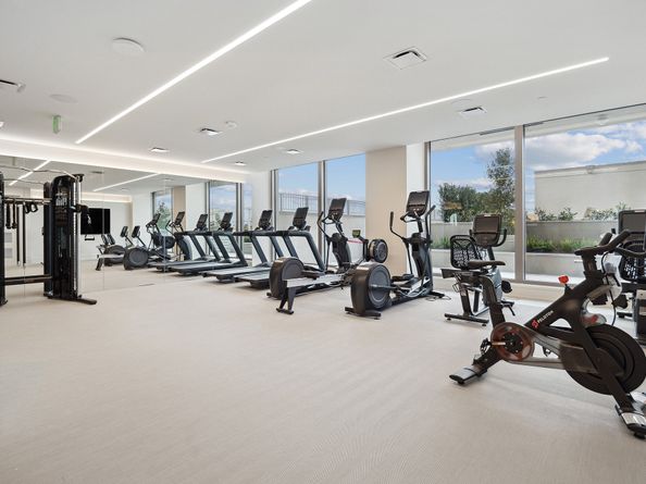 5656 San Felipe Street 1005, Houston TX 77056