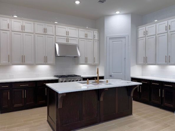 309 Wild Fork Court, Conroe TX 77304