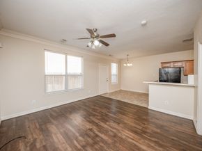 12510 Panther Place Drive, Houston TX 77099