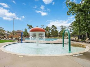 16622 Lake Prince Lane, Houston TX 77044